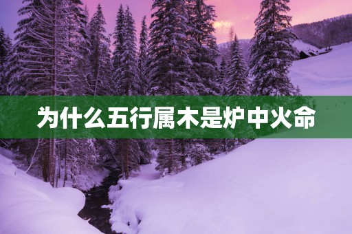 为什么五行属木是炉中火命