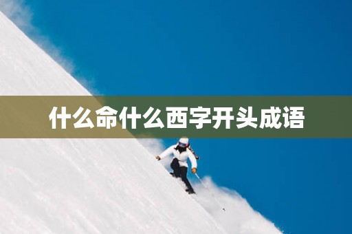 什么命什么西字开头成语