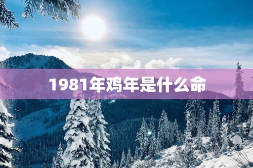 1981年鸡年是什么命