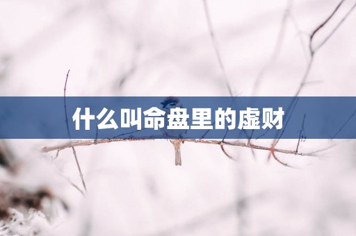 什么叫命盘里的虚财