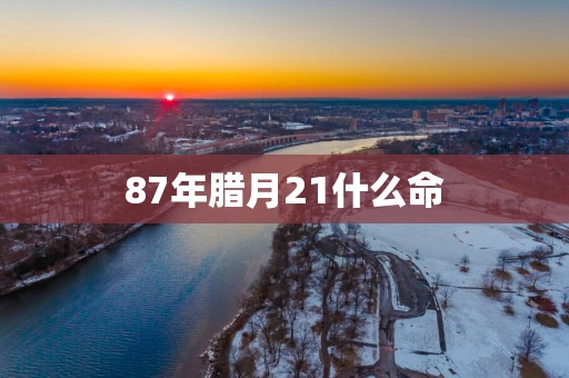 87年腊月21什么命