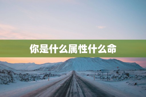你是什么属性什么命