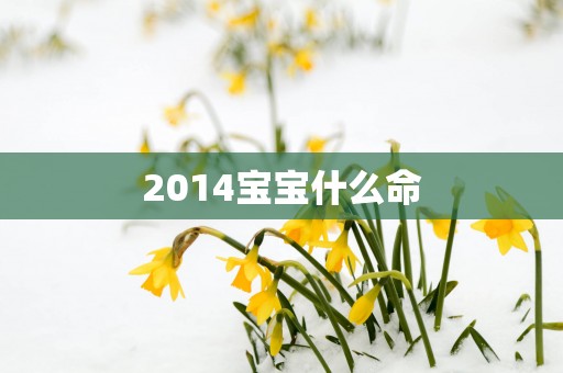 2014宝宝什么命