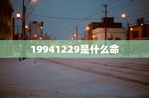 19941229是什么命