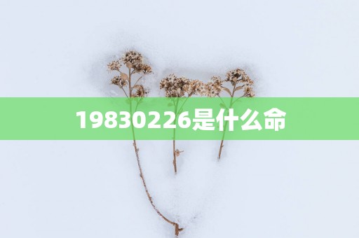 19830226是什么命