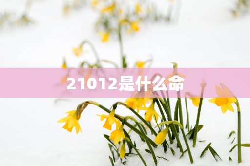 21012是什么命