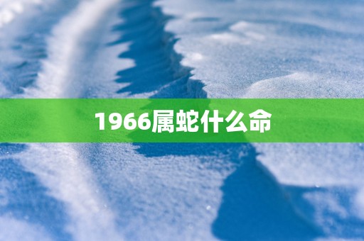 1966属蛇什么命