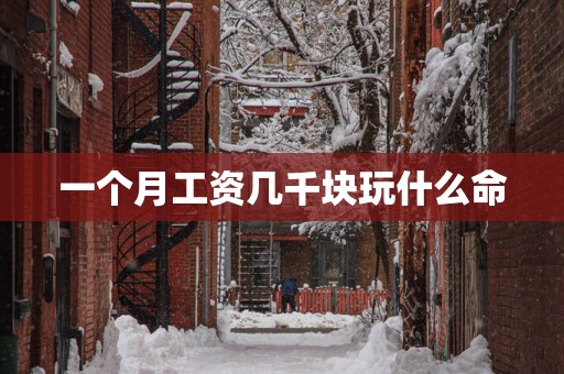 一个月工资几千块玩什么命
