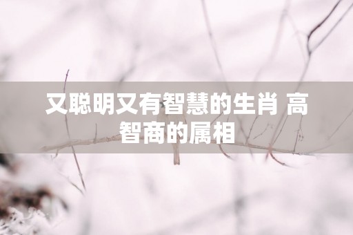 又聪明又有智慧的生肖 高智商的属相