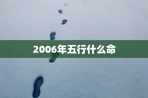 2006年五行什么命
