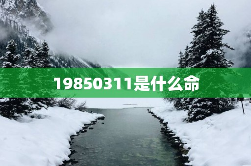 19850311是什么命