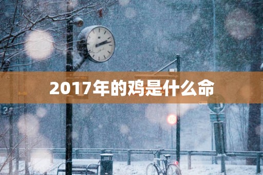2017年的鸡是什么命