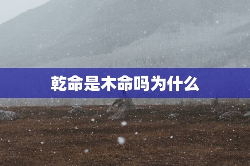 乾命是木命吗为什么