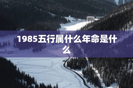 1985五行属什么年命是什么