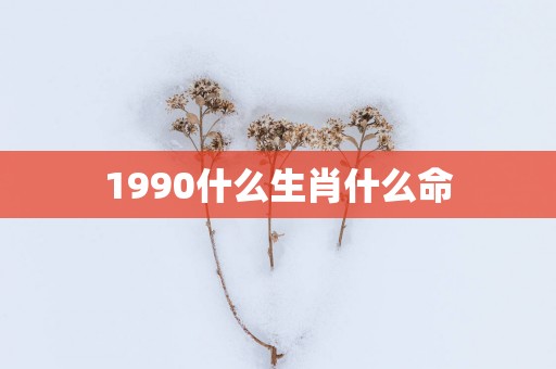 1990什么生肖什么命