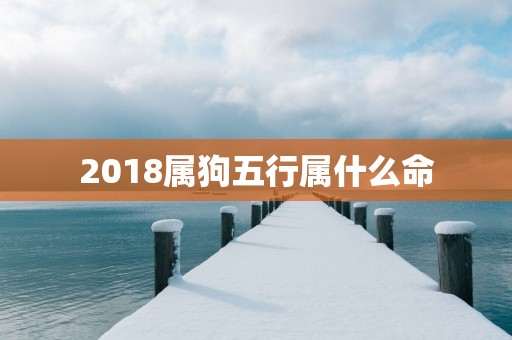 2018属狗五行属什么命