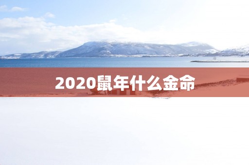 2020鼠年什么金命