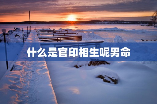 什么是官印相生呢男命