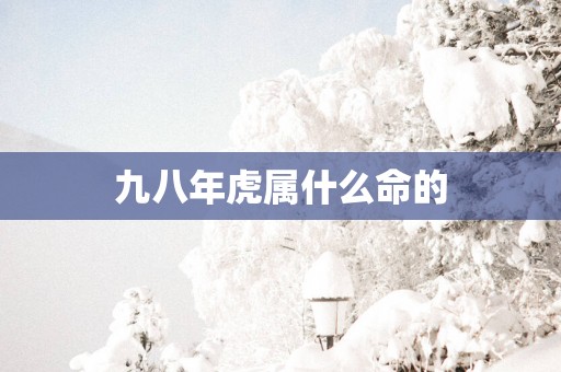 九八年虎属什么命的