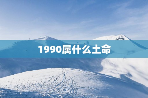 1990属什么土命
