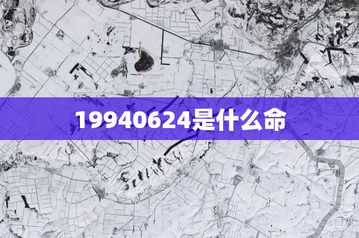 19940624是什么命