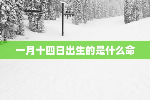 一月十四日出生的是什么命