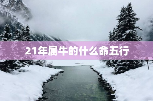 21年属牛的什么命五行