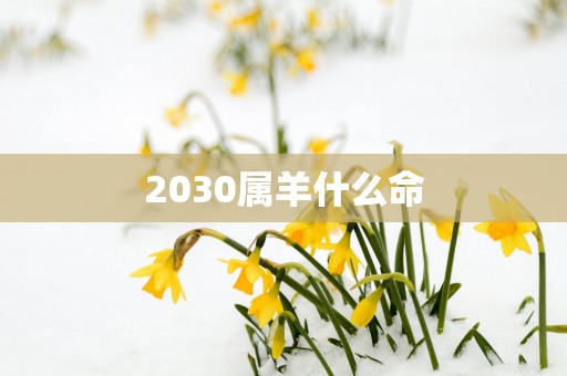 2030属羊什么命