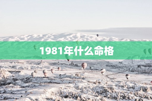 1981年什么命格