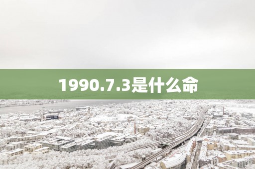 1990.7.3是什么命