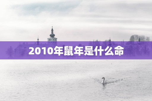 2010年蛇年是什么命
