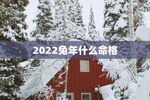 2022兔年什么命格