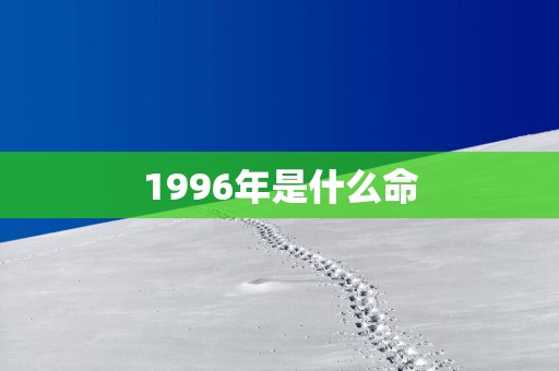 1996年是什么命