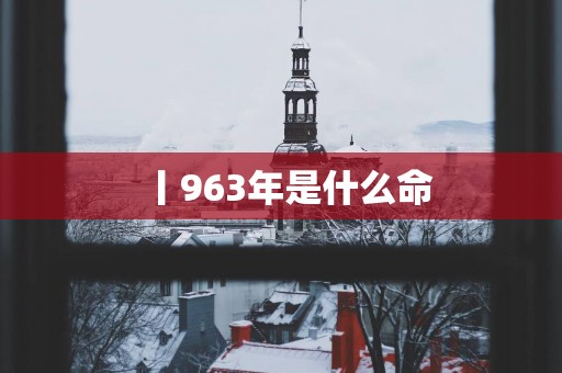 丨963年是什么命