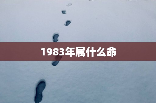 1983年属什么命