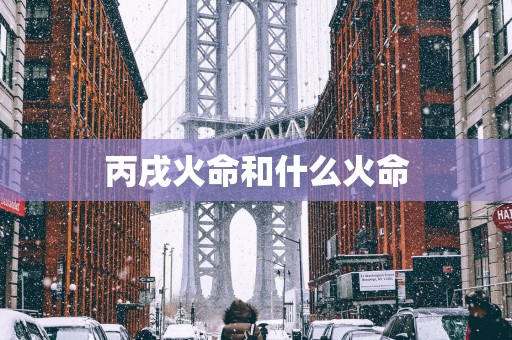 丙戌火命和什么火命