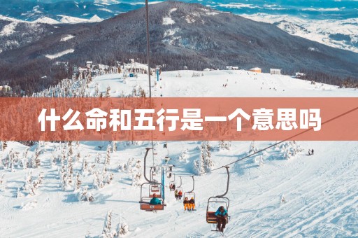 什么命和五行是一个意思吗