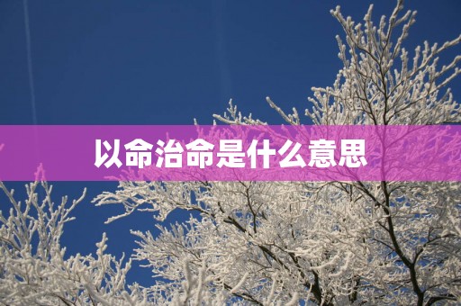 以命治命是什么意思