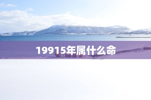 19915年属什么命