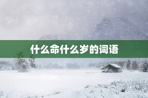 什么命什么岁的词语