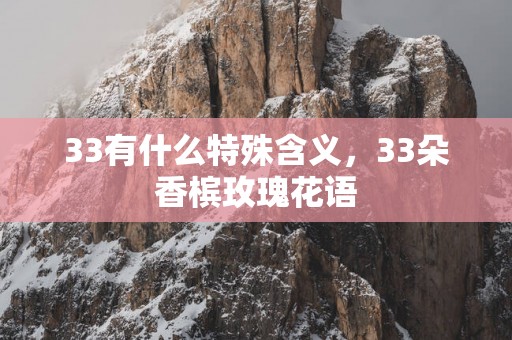 33有什么特殊含义，33朵香槟玫瑰花语