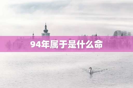 94年属于是什么命