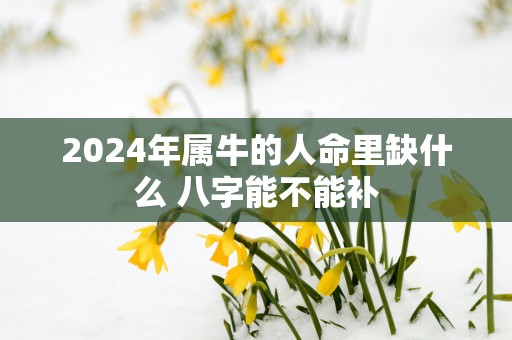 2025年属牛的人命里缺什么 八字能不能补