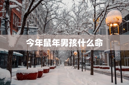 今年蛇年男孩什么命