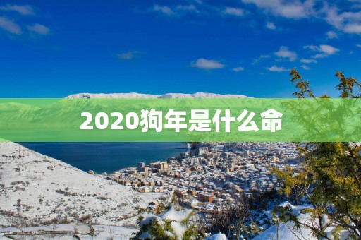 2020狗年是什么命