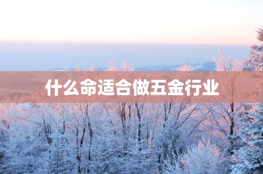 什么命适合做五金行业