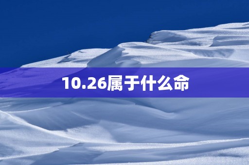 10.26属于什么命