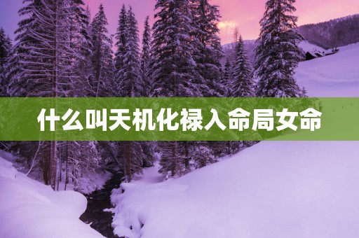 什么叫天机化禄入命局女命