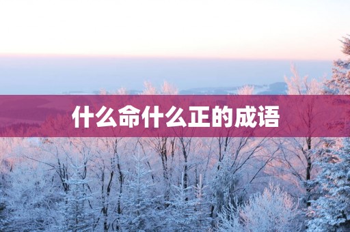 什么命什么正的成语