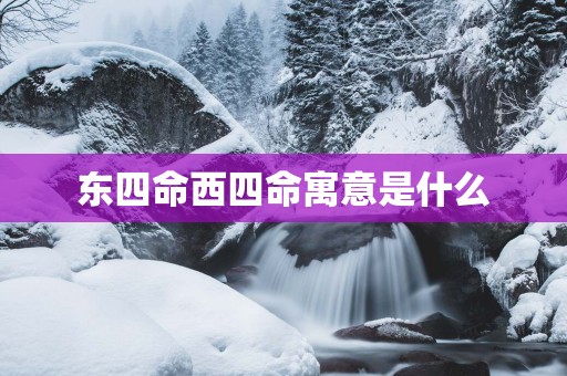 东四命西四命寓意是什么